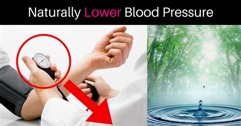 New arrivals · best sellers · water treatment · high purity 5 Easy (And Delicious Ways) You Can Reduce Your Blood ...
