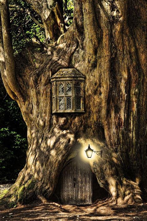 Ned The Toothpick On Twitter Fairy Tree Fairy Tales Fairy Houses