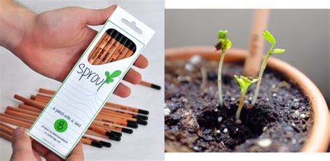 Plant Your Pencil Stub And Watch It Grow The Gadgeteer