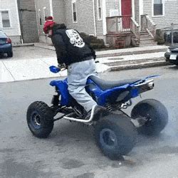 Share the best gifs now >>>. Quad GIFs - Find & Share on GIPHY