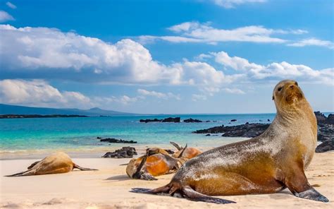 Iles Galapagos Paysage Voyage Carte Plan