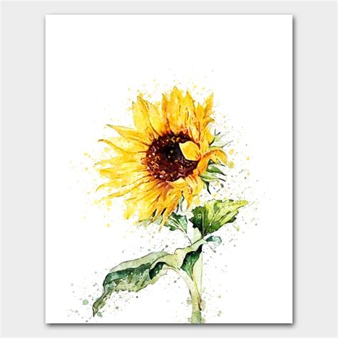 Watercolor Flowers Spring Flowers Hand Drawn Flowers Sunflower Decor