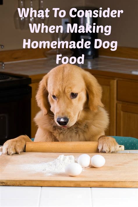 We did not find results for: What To Consider When Making Homemade Dog Food