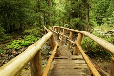 Wooden Bridge Into The Forest Stock Photo Image Of Path Deep 59740066
