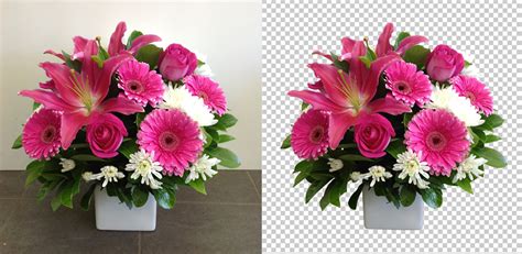 Remove image background automatically for free using ai. Cut Out Image - Remove Background | Clipping Path Services