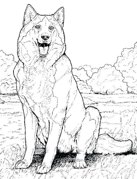 Printable Realistic Animal Coloring Pages