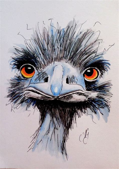 10 Best Emu Art Images On Pinterest Australian Painting Emu And