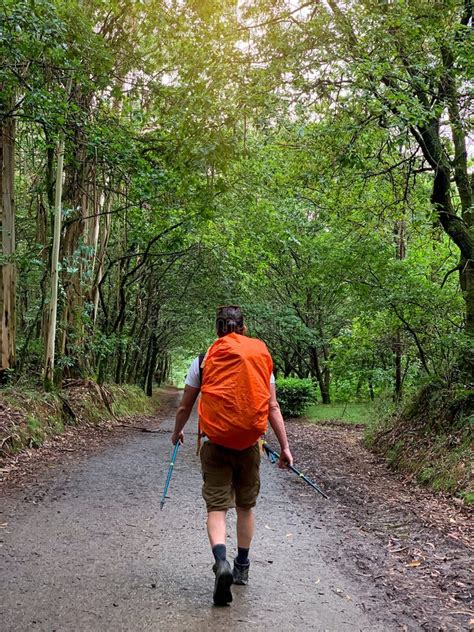 Hiker With Backpack From Behind Holding Hiking Poles Rear View Of A