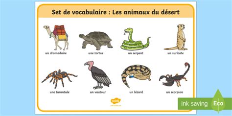 Words starting with deserts for scrabble and words with friends. Desert Animals French Word Mat (teacher made)