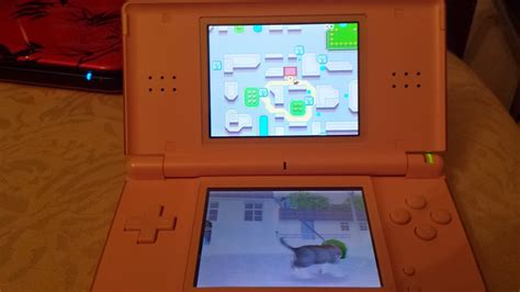 This section explains how to establish your ds wireless link. noxyism: Nintendogs + Cats for 3DS: (Part 1 of 3) Comparison and Review