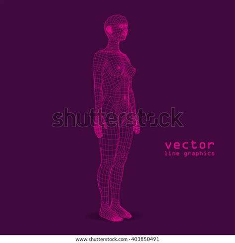 Linear 3d Naked Girl Fulllength Woman Vector De Stock Libre De Regalías 403850491 Shutterstock