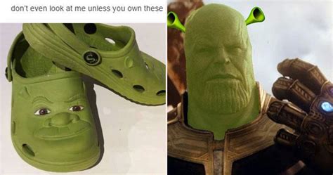 Shrek Memes Opening