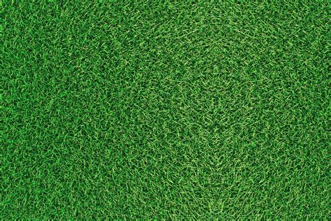 Flat Grass Texture