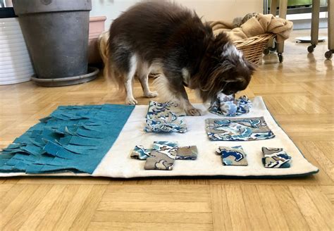 Built to stimulate a dog's natural foraging instincts by mimicking the hunt for food in grass and fields, snuffle mat feeds both their belly and their. Make a Snuffle Mat for Your Dog - Publications & Guides ...