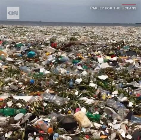 video shows a wave of garbage in the dominican republic a wave of garbage was filmed rippling