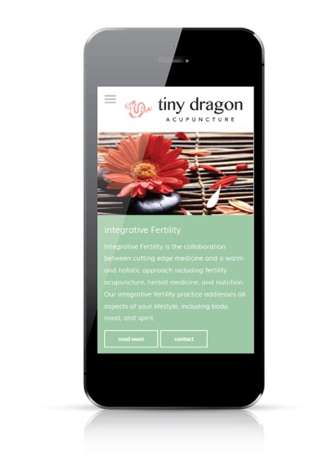 tiny dragon acupuncture ruby porter website design