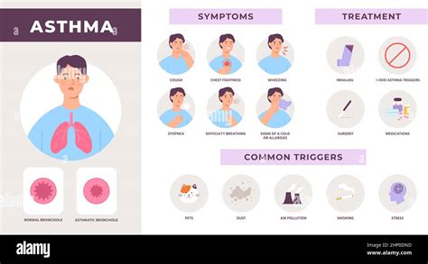 Asthma Disease Infographic With Symptoms Treatment And Common Triggers