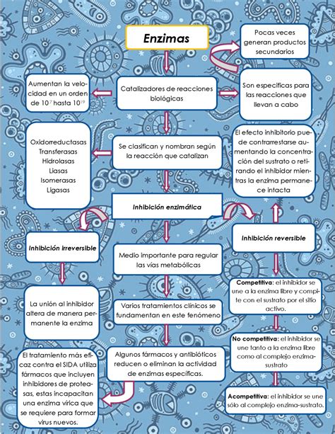 Actividad Enzimatica Mapa Conceptual Shibaswap