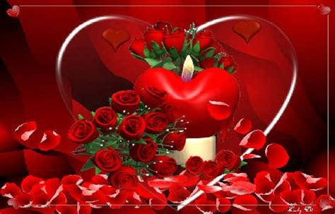 Annahof Laabat Love Rose Wallpaper Video Download