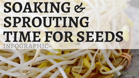 soaking and sprouting times for seeds infographic homesteader depothomesteader depot