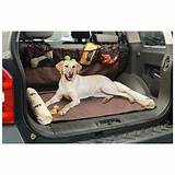 Images of Race Car Beds For Dogs
