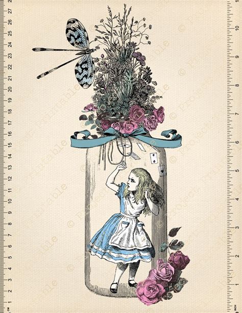 Alice In Wonderland Colour Digital Clip Art Graphics Etsy