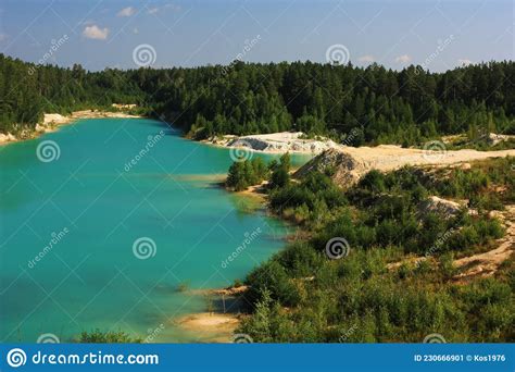 Trees Grow On The Shores Of A Turquoise Lake Stock Image Image Of