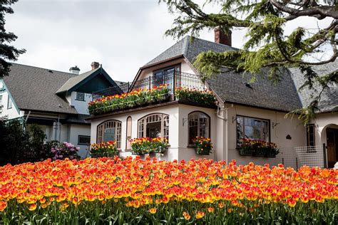 Check spelling or type a new query. 11 stunning photos of the Beach Drive 'Tulip House' in Oak ...