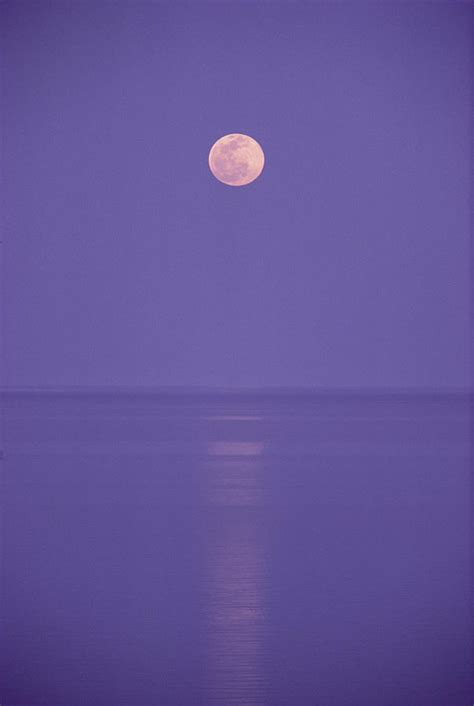 A Pink Full Moon Hangs Centered Over A Still Body Of Water In The