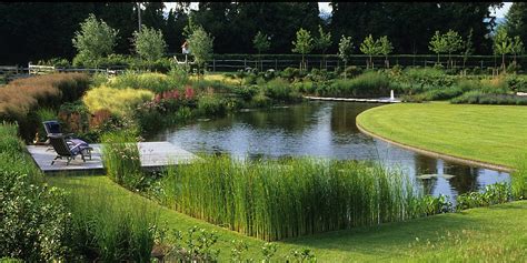 Carextours Pond Landscaping Backyard Water Feature Landscape Design