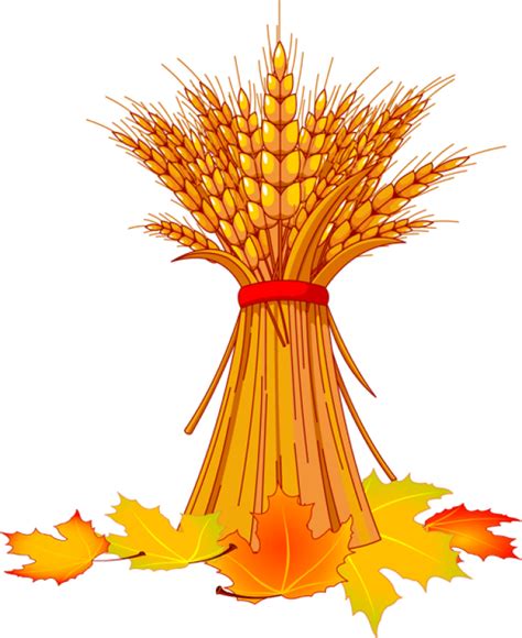 Free Autumn Basket Cliparts Download Free Clip Art Free Clip Art On