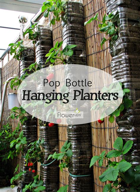 The water used to irrigate the seedling needs to drain. DIY Hanging Planters made with Pop Bottles Tutorial ...