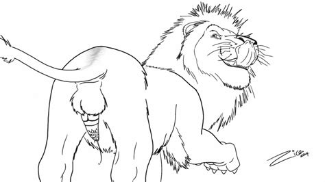 Rule 34 2014 Anthro Anus Ass Balls Erection Feline Fur Furry Lion