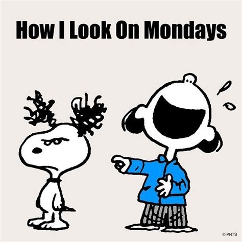 How I Look On Mondays Snoopy Monday Monday Quotes Happy Monday Monday