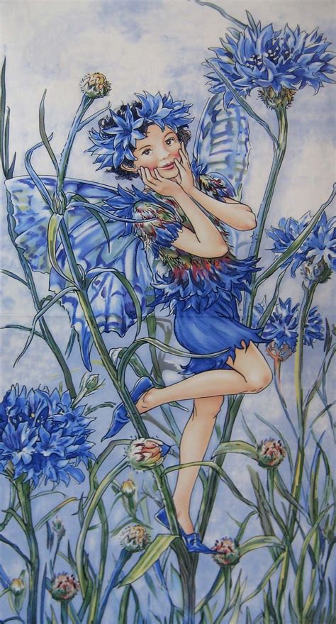 Flower Fairies Fairy Art Fairy Pictures Illustration Art