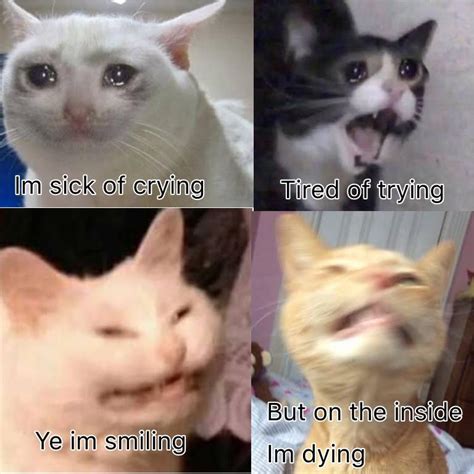 Sadcat Tired Of Trying Im Sick Out Loud Laughing Crying Cats