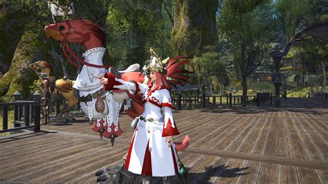Chocobo Lvl 10 Picture Help Ffxiv