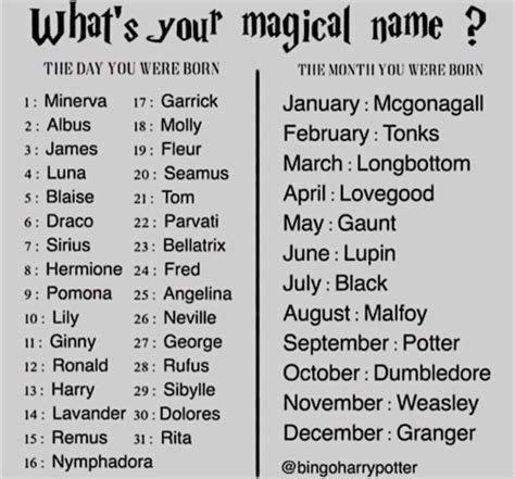 Qual seu nome mágico HARRY POTTER Amino