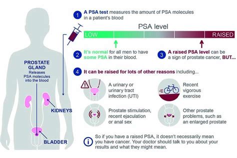 Some cancers grow very slowly while others are very aggressive and spread quickly to other organs. PHE PSA prostate cancer test guideline | PHE/DH/DWP ...