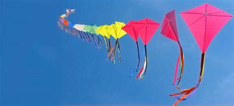 6 easy ways to be a greener traveller today). Kite Festival Jaipur 2021 - Jaipur Kite Festival Dates - Jaipur Kite Festival Rajasthan India 2021
