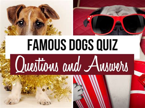 30 Famous Dogs Quiz Questions And Answers Quiz Trivia Games