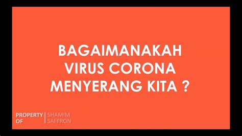 Bagaimana Virus Corona Menyerang Kita Youtube