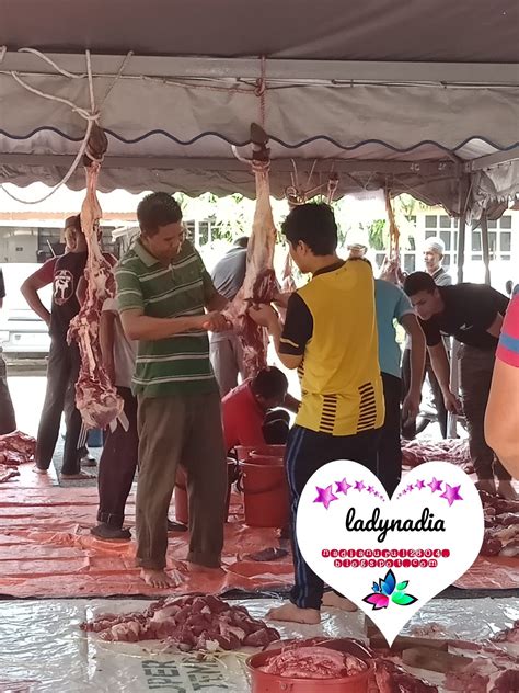 For more information and source, see on this link : Surat Rayuan Pengurangan Kompaun - Soal-soal Psikotes
