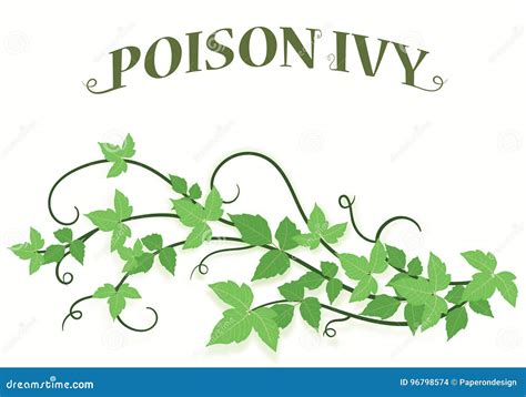 Poison Ivy Vines Background Vector Illustration