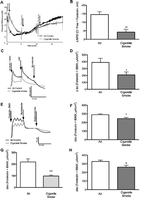 This protein is required for the. Systemic cystic fibrosis transmembrane conductance ...