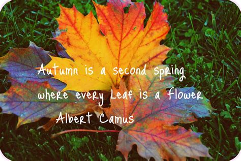 Welcome Fall Quotes Quotesgram
