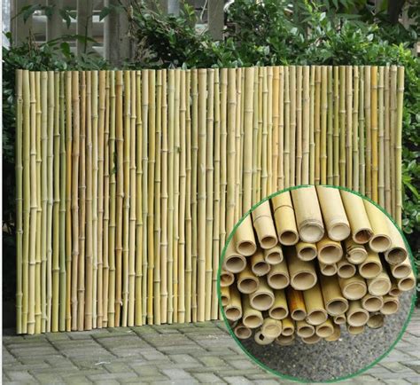 Natural Bamboo Fence