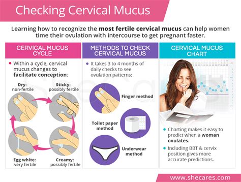 Checking Cervical Mucus Cervical Mucus Cervical Mucus Chart Riset