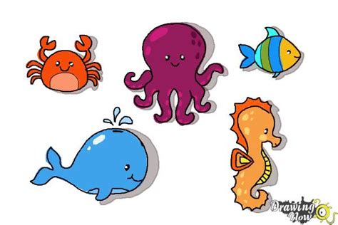 How To Draw Ocean Animals Drawingnow