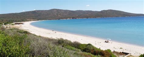 Contatto diretto con il proprietario. Corsica del sud in camper
